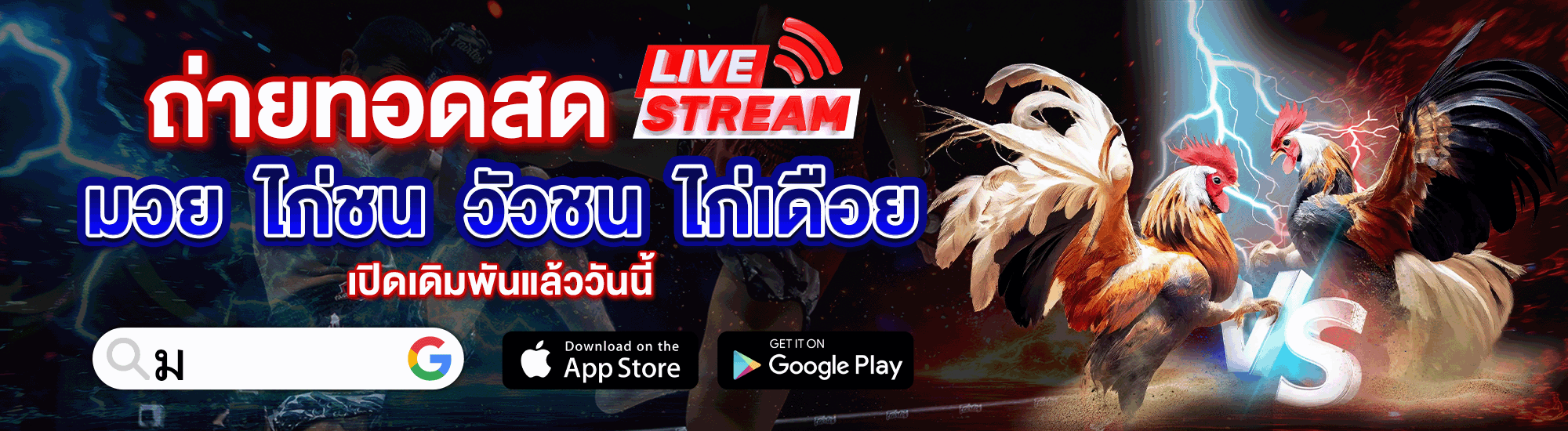 ดูถ่ายทอดสดฟรี