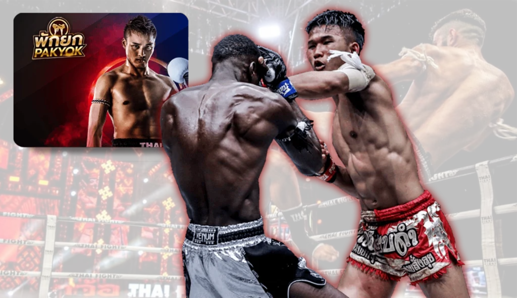 มวยพักยกไทเกอร์ - PAKYOK168