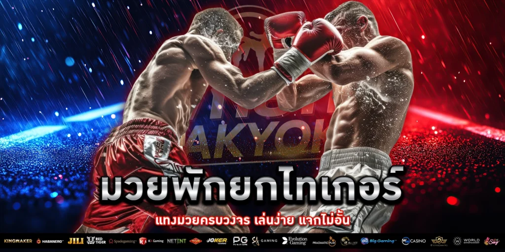 มวยพักยกไทเกอร์ - PAKYOK168